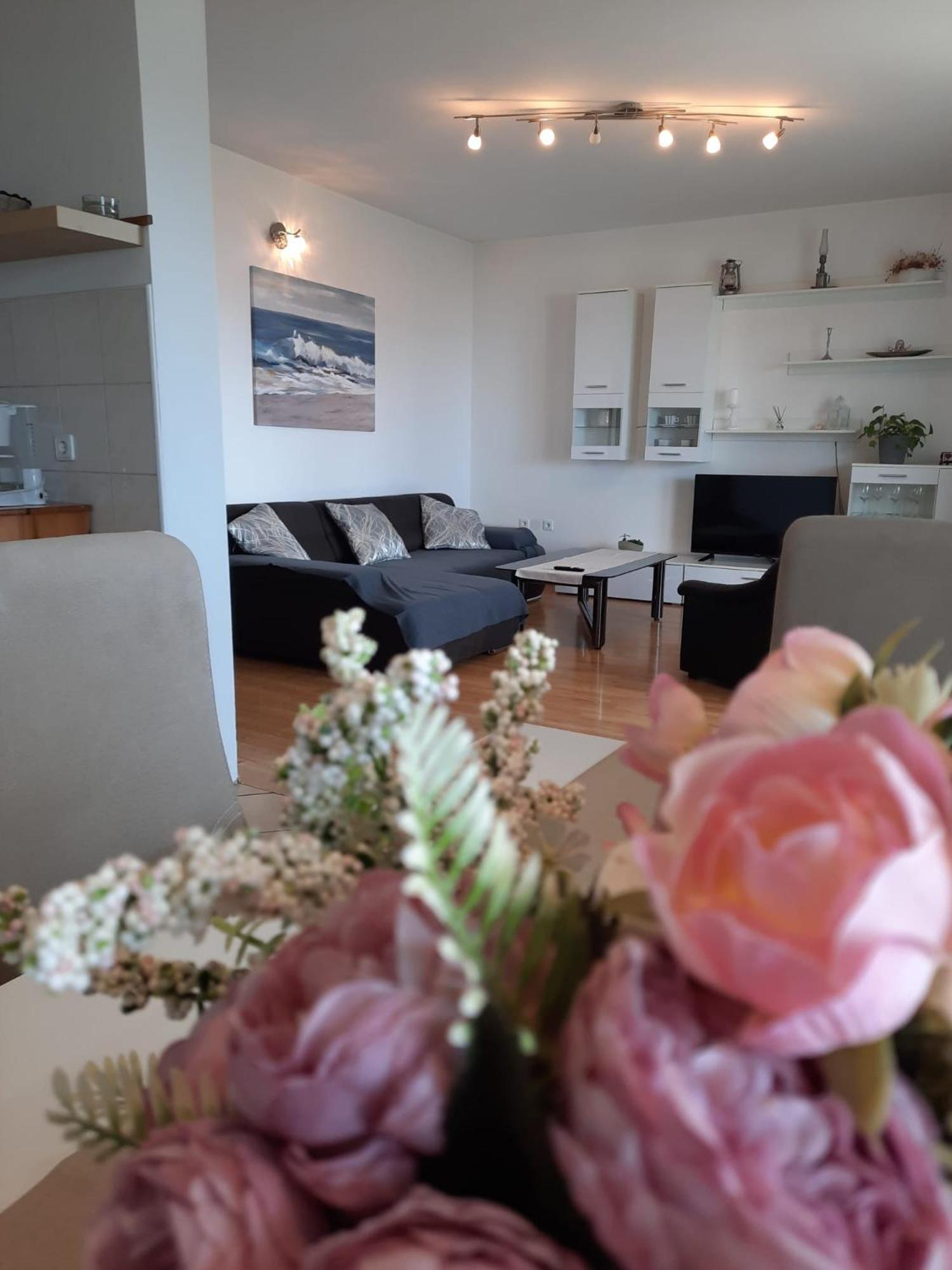 Apartman Mila 诺维·维诺多尔斯基 外观 照片